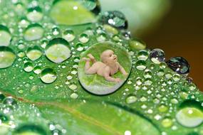 baby in Drip of Water, digital art