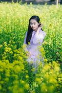 photo of an asian girl in a flowering rapeseed field