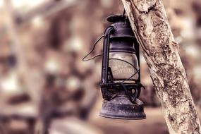 Old Lamp Light
