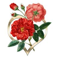 red flowers and gold metal heart