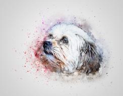 Dog Pet Cute drawing