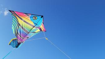 flying kite in a clear blue sky