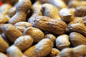 Peanuts Groundnuts Nut