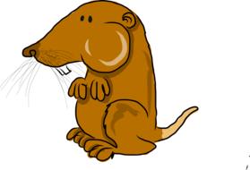 pocket gopher mammal drawing