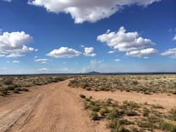 Desert Dirt Road