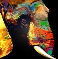 elephant abstract color drawing