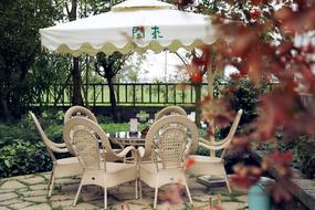 cozy spot under the trees in the garden