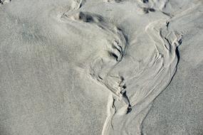 Tracks In The Sand Beach
