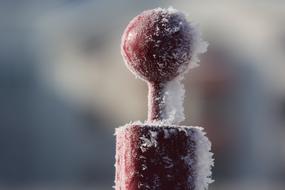 Winter Frost Ice