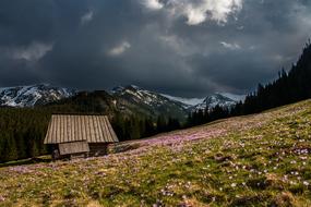 Hut Cabin