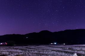 Country Night View
