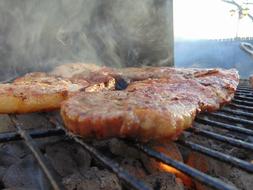 grilled meat with smoke