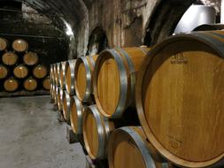 Wine Barrels Winery