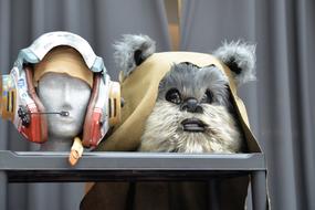 Comic-Con Convention Star Wars