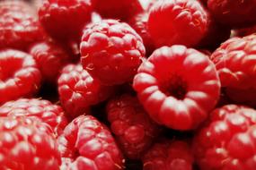 Sweet delicious raspberries