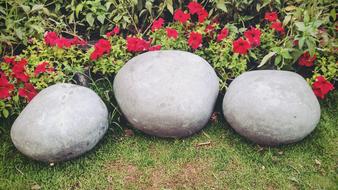 big rocks with flowers in the garden