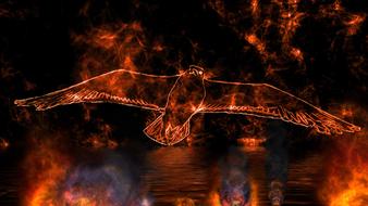 bird flying in burning sky, fantasy, digital art