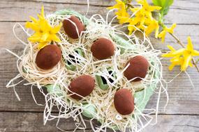 chocolate easter eggs