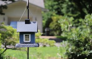 small birdhouse on a tree
