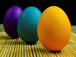 colored chicken eggs