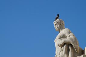 street pigeon sits on the head of a sculpture