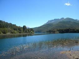 lake in the reeds with the mountains in the background