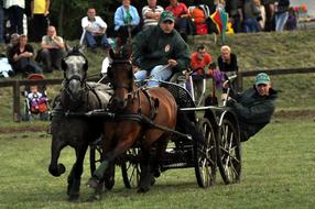 sports horse races with a cart