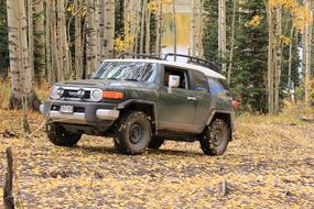 Jeep 4Wd Four Wheeling Fj cruiser