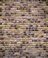 Bricks Wall construction