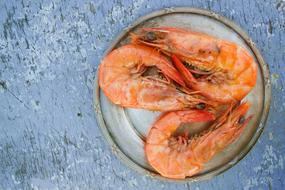 fresh shrimp