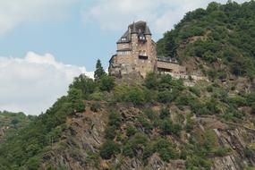 Castle Rhine Valley Mouse