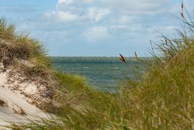 Dune Sea North