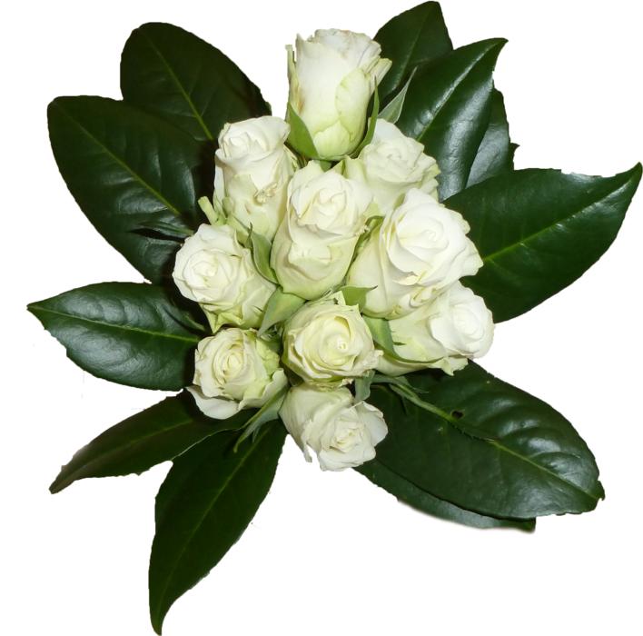 flower bouquet white roses sheet