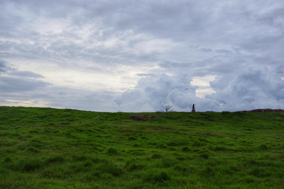green grass in a field under a white sky