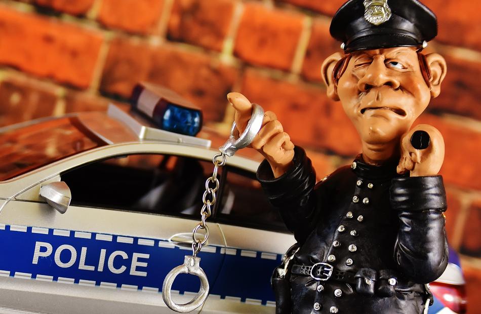Police Cop Check