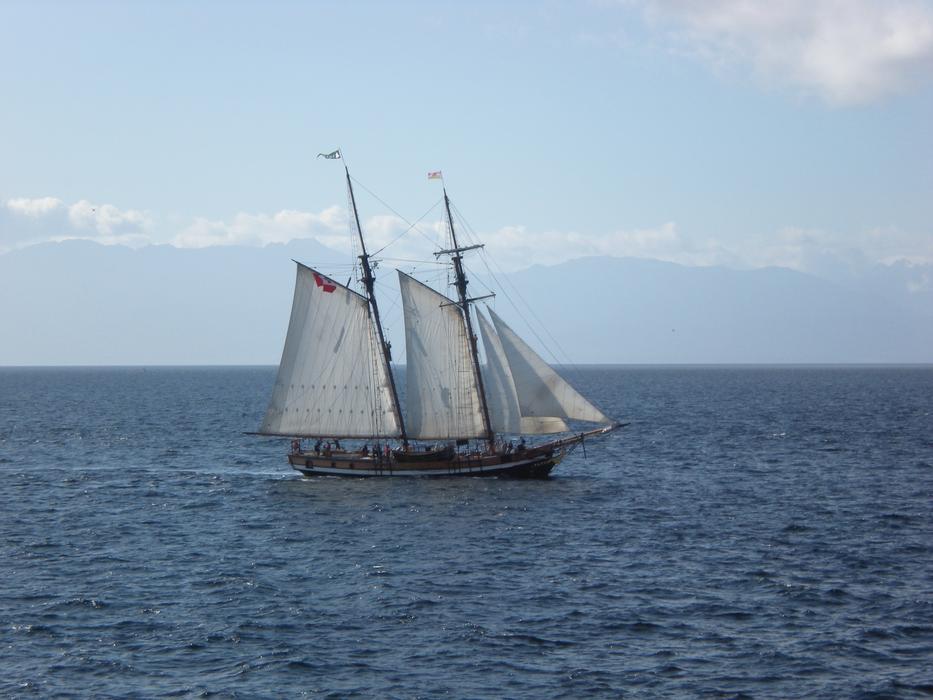 Schooner Sailing