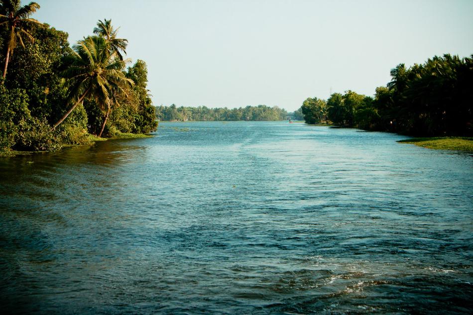 magnificent river near the forest