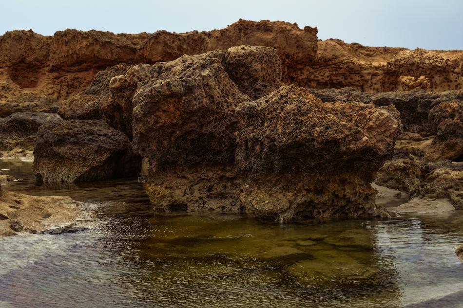 rocks with algae and water