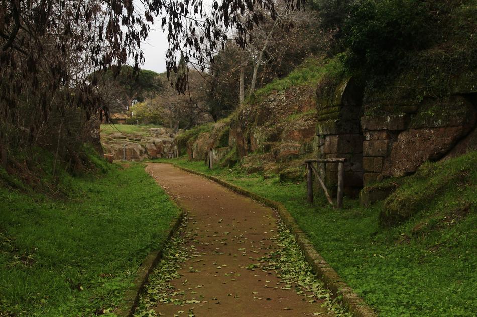 The long road in the park