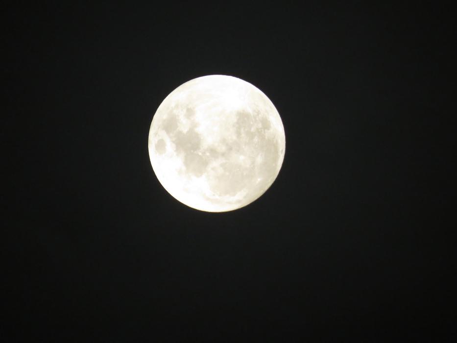 Moon Night