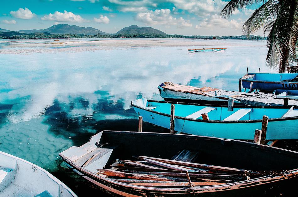 Boats Coconut Trees