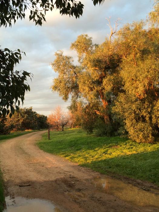 Country Road Dirt Track