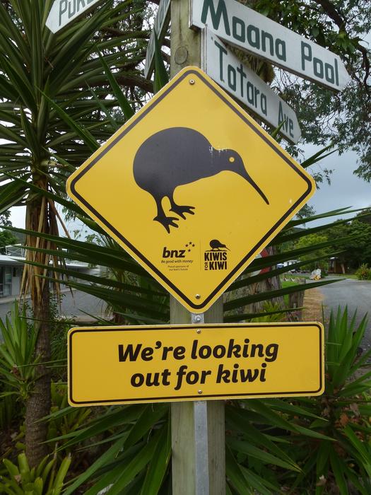 yellow sign with a bird