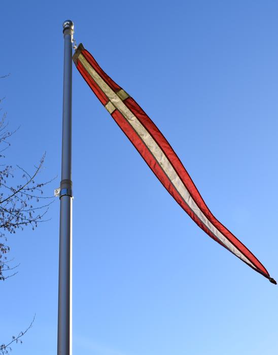 Denmark Danish Flag Dannebrog