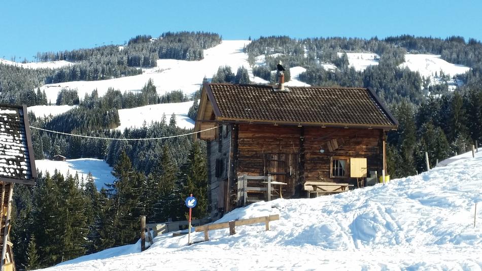Ski Lodge Mountain Hut Log Cabin