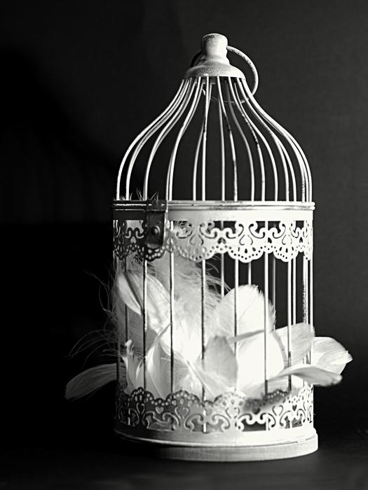 Decoration Cage Feather Black And