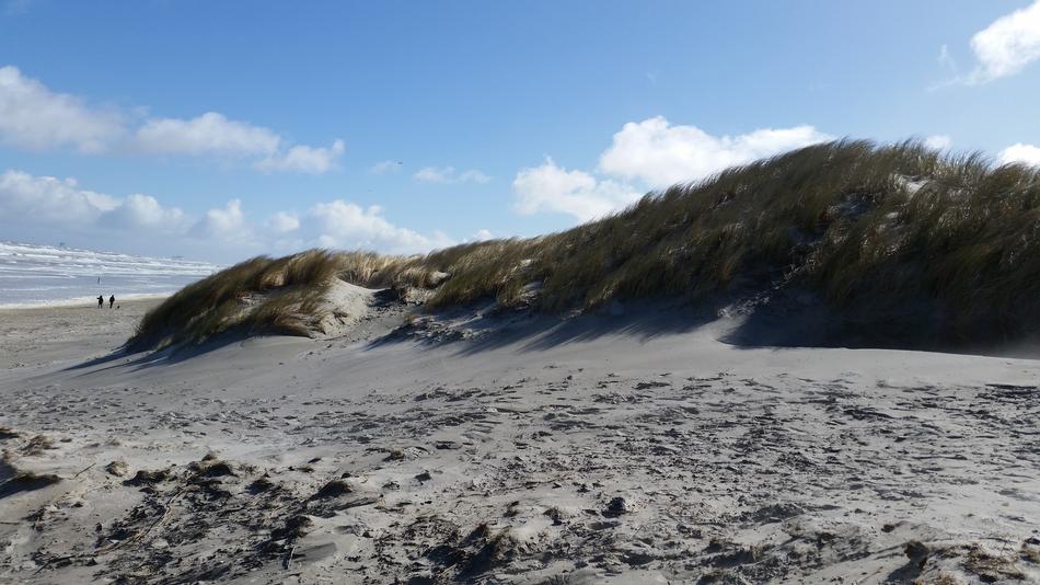 North sea Beach Dunes