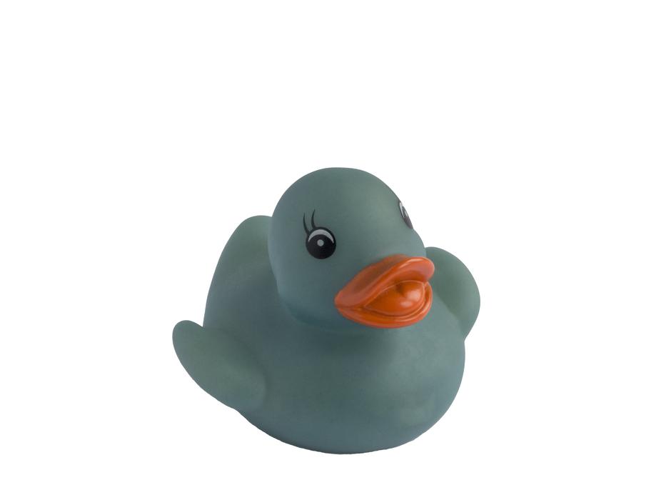 rubber duck blue beak orange