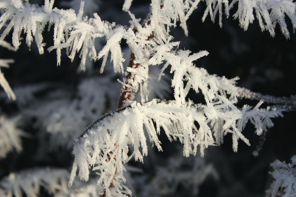 Winter Eiskristalle Frozen