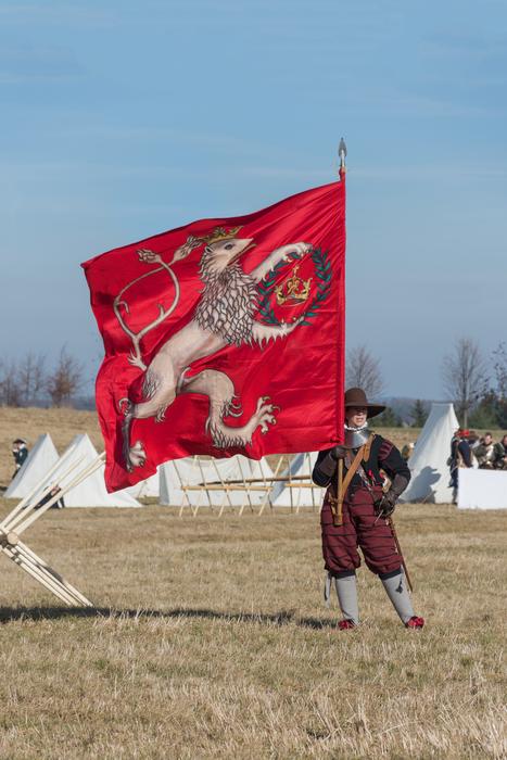 flag man on the field